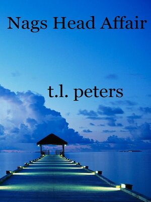 cover image of Nags Head Affair